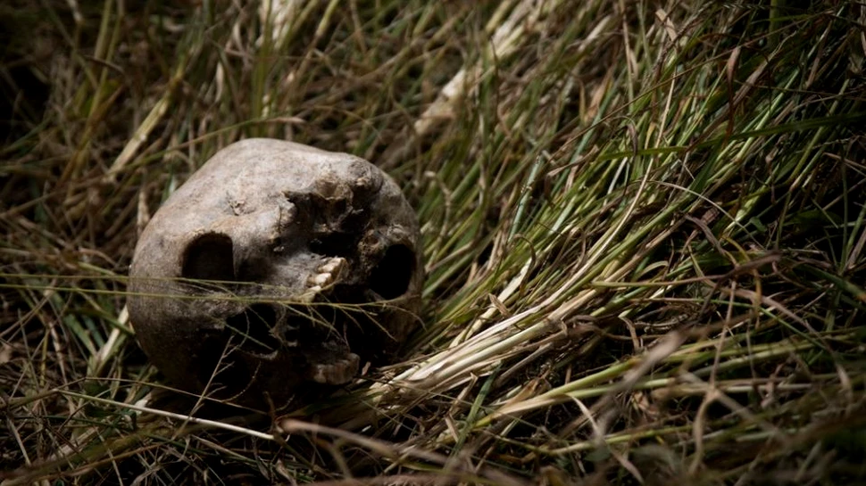 Trei descoperiri arheologice care sunt mai înspăimântătoare decât filmele horror – FOTO