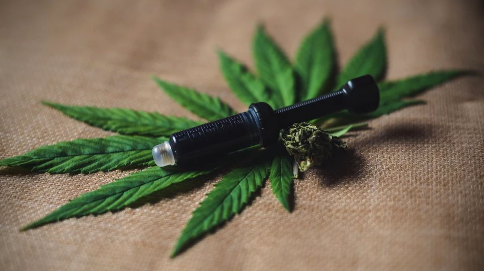 Consumul de canabis creşte sensibilitatea creierului la cocaină