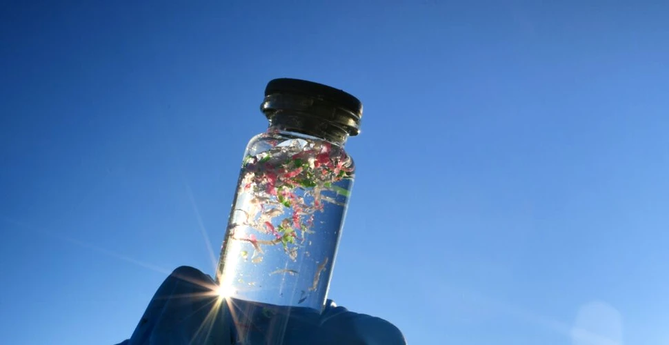 Microplasticele: Tot ce trebuie să știi despre ce sunt și cum reducem expunerea