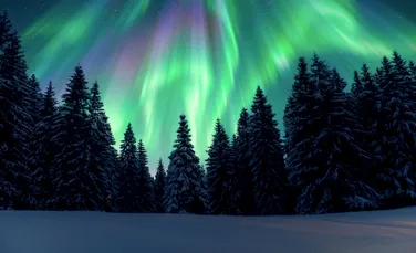 Test de cultură generală. Care este diferența dintre aurora boreală și aurora australă?