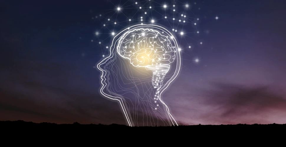 Descoperire în lumea medicală: Țesut cerebral uman viu folosit pentru a imita boala Alzheimer