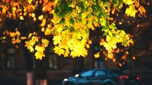 Prognoza meteo pentru toamnă. Ce temperaturi anunță ANM?