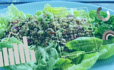 Ce ar trebui să mâncăm la fiecare vârstă și cum se schimbă nevoile nutriționale de-a lungul vieții