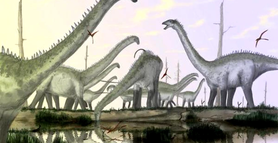 Sauropodele – imposibilii dinozauri
