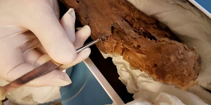 Rămășițele unuia dintre apostolii lui Iisus s-au dovedit a fi false