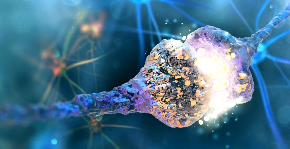 Celulele cerebrale care mor în cadrul bolii Parkinson au fost identificate