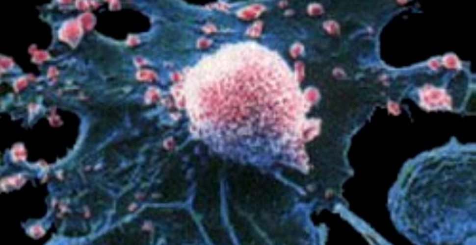 Cancerul ar putea fi vindecat cu nanomagneti