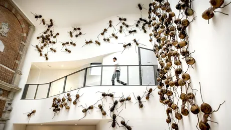 Insecte lăsate „să se dezlănţuie” într-un muzeu din Amsterdam