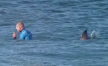 Imagini SPECTACULOASE: Lupta unui surfer cu doi rechini, surprinsă în direct – VIDEO