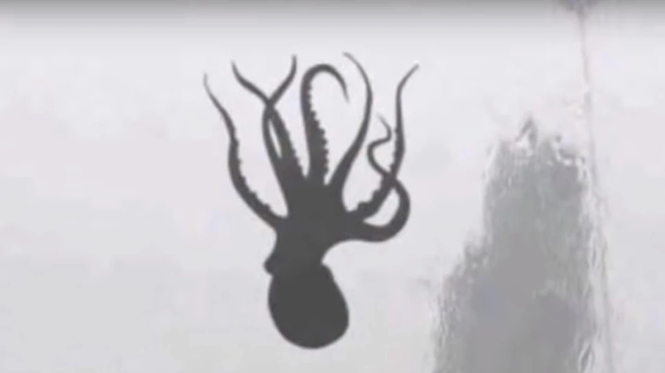 După o furtună puternică a ”plouat” cu fructe de mare într-un oraş din China