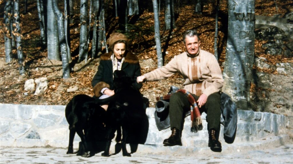 Test de cultură generală. În ce oraș au fost executați soții Ceaușescu?