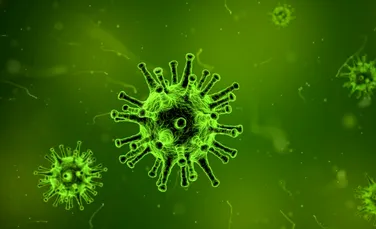 Descoperirea unor tipuri complet noi de virusuri oferă indicii despre originile vieții complexe