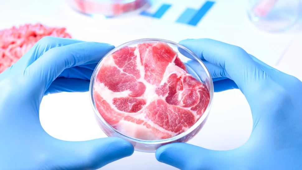 SUA au aprobat carnea creată în laborator pentru consumul uman