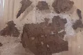 Fragment din Iliada lui Homer, găsit în interiorul unei mumii din epoca romană