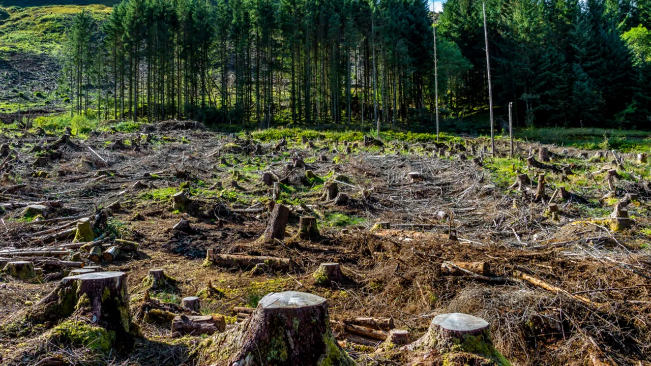 schimbările climatice 