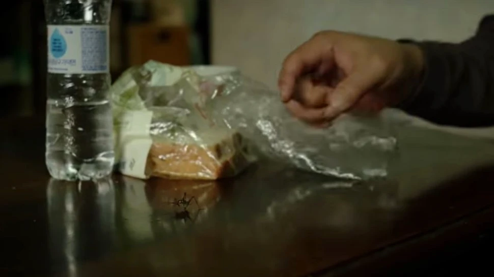 Cele mai importante filme ale anului arată mai multă diversitate decât oricând