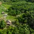 Membrii unui trib necontactat până acum au ieșit din pădurea amazoniană în căutarea hranei