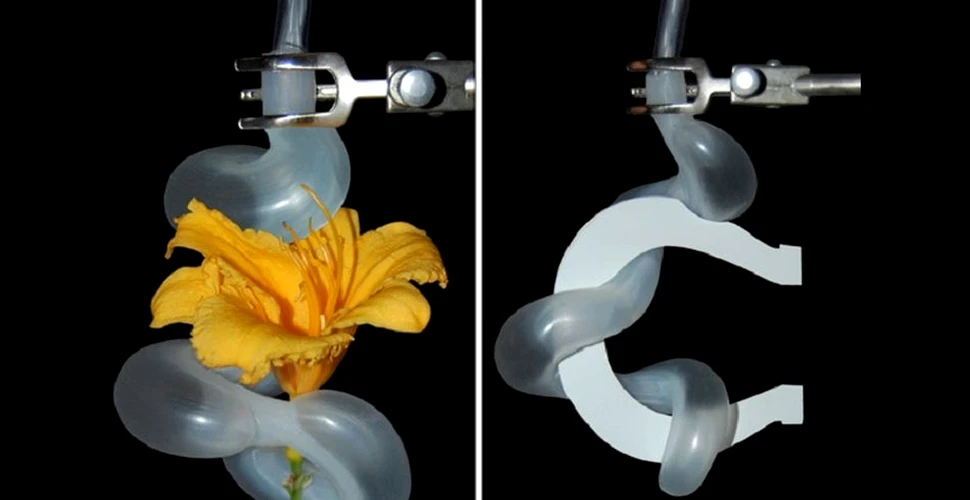 A fost creat braţul robotizat cu cea mai delicată atingere (VIDEO)