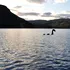 O nouă teorie încearcă să explice legenda monstrului din Loch Ness. Ce ar putea fi, de fapt, Nessie?
