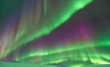 Zeci de persoane au avut nevoie de ajutor în Alaska din cauza taifunului Halong