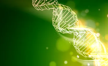 Genomul uman poate conţine până la 20% mai puţine gene, conform unui rezultat recent surprinzător