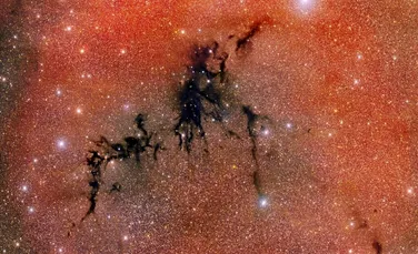 Astronomii au descoperit că o nebuloasă întunecată ascunde un cuib de stele nou formate