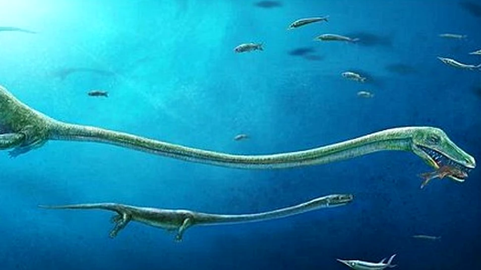O reptilă marină cu gât lung, care a trăit înaintea dinozaurilor, năştea pui vii