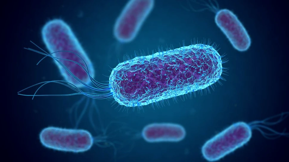 Cum sună bacteriile? „Melodiile microbiene“ ne-ar putea ajuta să combatem rezistența la antibiotice