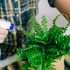 Trucul simplu pentru plantele de apartament atunci când plecăm de acasă mai mult timp