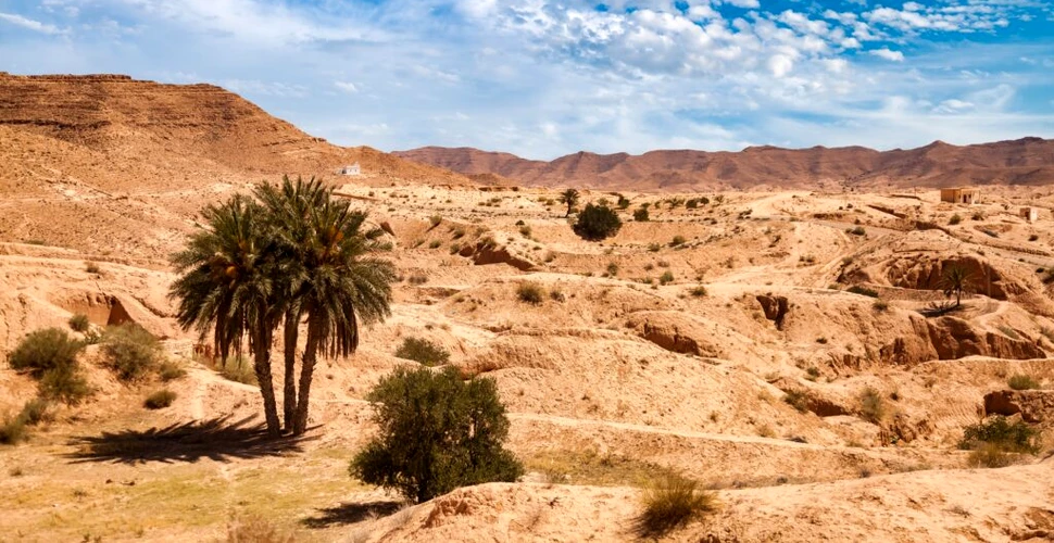 Timp de 800 de ani, o civilizație a prosperat în inima Saharei