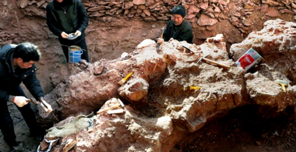 Mii de amprente de dinozaur au fost descoperite in China