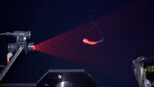 Zeci de noi specii incredibile de animale au fost descoperite în adâncurile Oceanului Atlantic