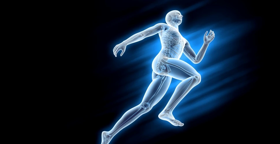 Ce se întâmplă în corpul tău în doar 30 de secunde? (VIDEO)