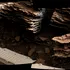 Roverul Curiosity al NASA a surprins imagini uluitoare cu peisajul schimbător de pe Marte