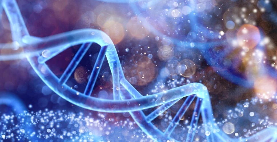 O populație misterioasă de strămoși umani ne-a dat 20% dintre genele pe care le avem