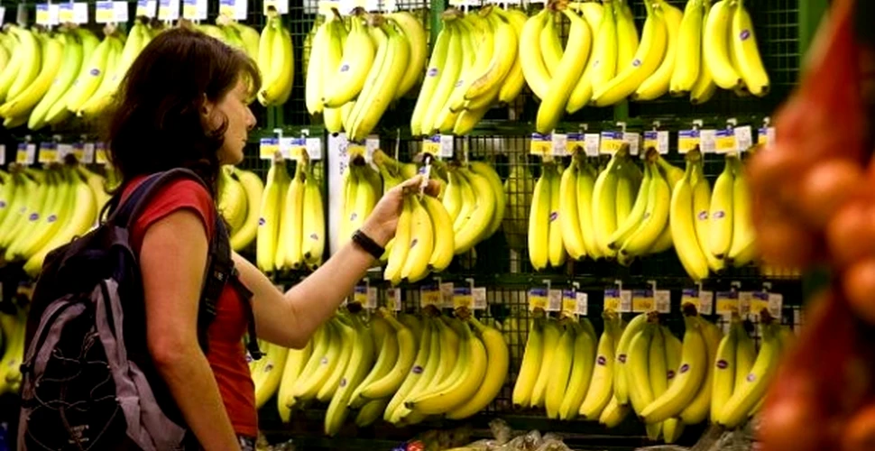 Bananele, fructul adorat de mulţi români, sunt pe cale de dispariţie. Cu ce ar putea fi înlocuite?