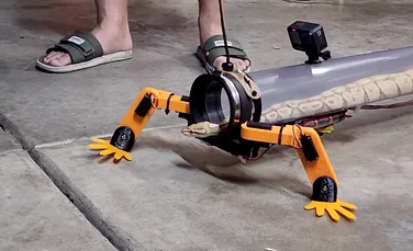 Un exoschelet robotic permite șerpilor să meargă pe patru picioare