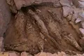 Mumii de crocodil de dimensiuni impresionante, găsite într-un mormânt egiptean