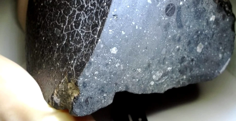 Un meteorit antic sugerează că apa ar fi existat pe Marte înainte ca viața să apară pe Pământ
