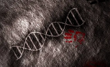 Ce ne poate spune ADN-ul antic despre cine suntem cu adevărat?