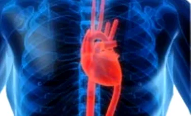 A fost descoperit un nou factor de risc cardiovascular