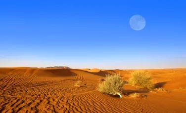 O serie incredibilă de descoperiri în deşertul Arabiei confirmă că peninsula a fost verde