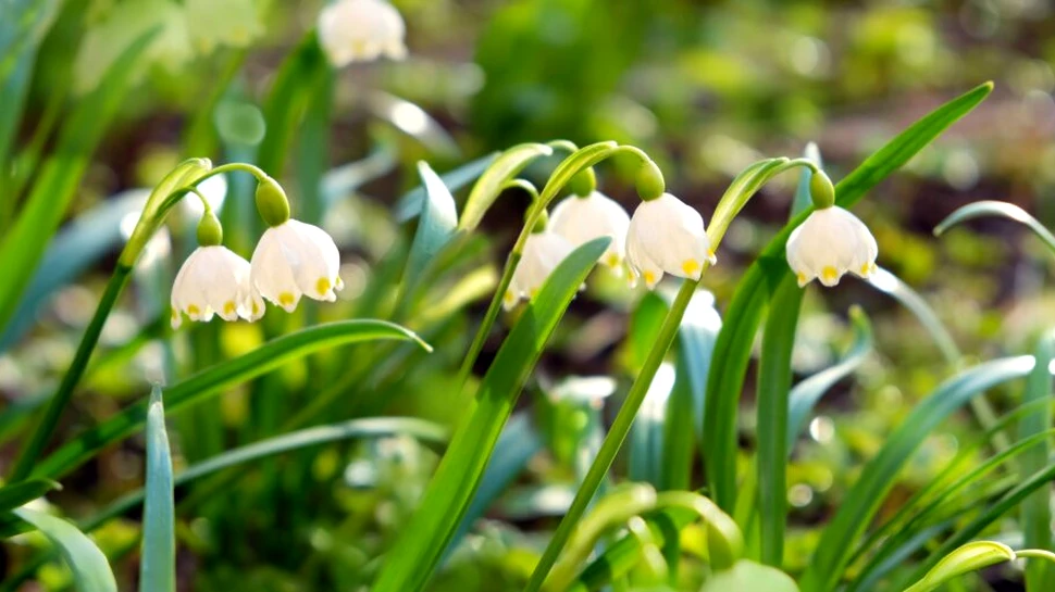 Vremea va fi schimbătoare în toată țara! Prognoza actualizată de la ANM