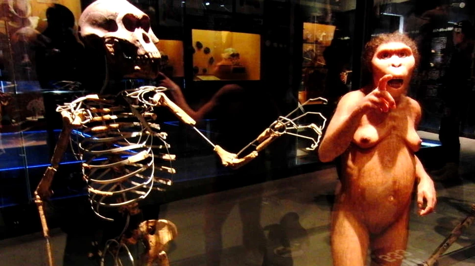 ”Veriga lipsă” din evoluţia oamenilor, descoperită după ce un băiat de 9 ani s-a împiedicat de o piatră