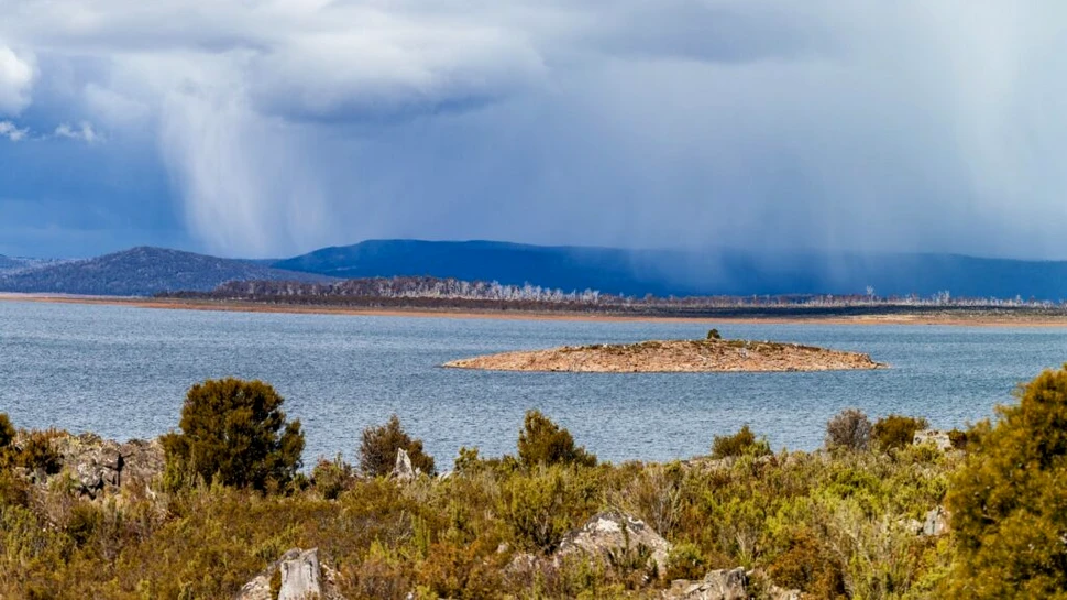 O specie de melc considerată dispărută a fost redescoperită în Tasmania