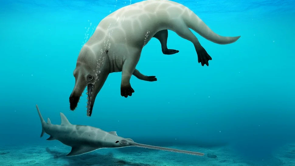 O nouă specie antică de balene, cu patru picioare, descoperită în Egipt