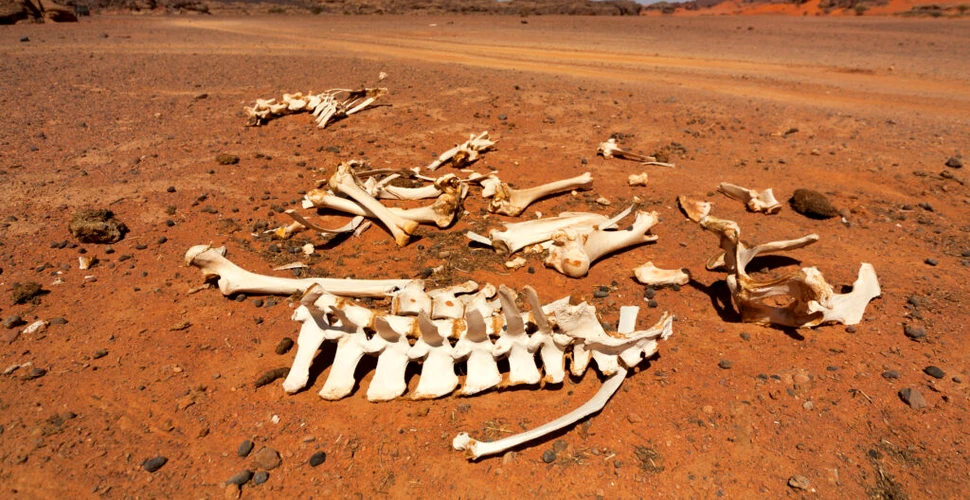 Un grup necunoscut de oameni a trăit în Sahara cu 7.000 de ani în urmă
