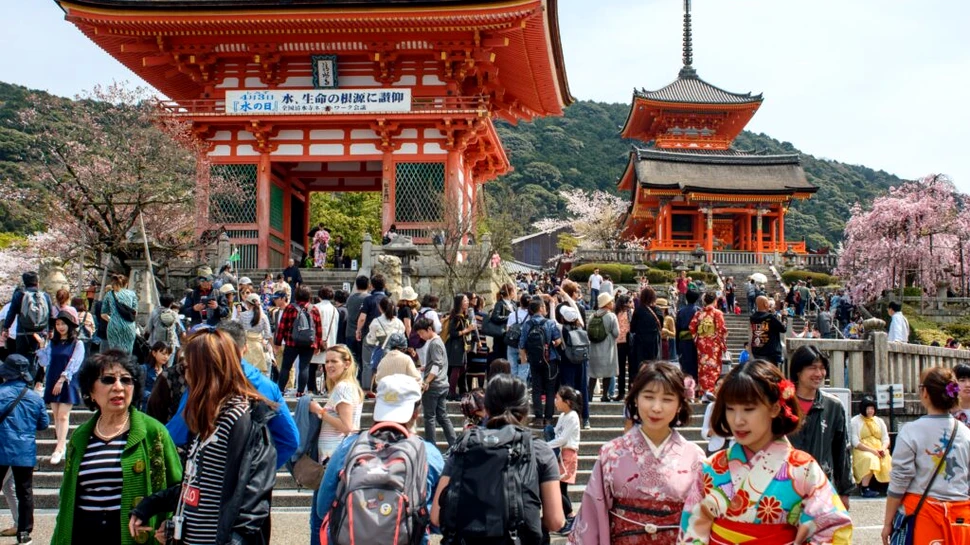 Cireșii japonezi, bulversați de schimbările climatice