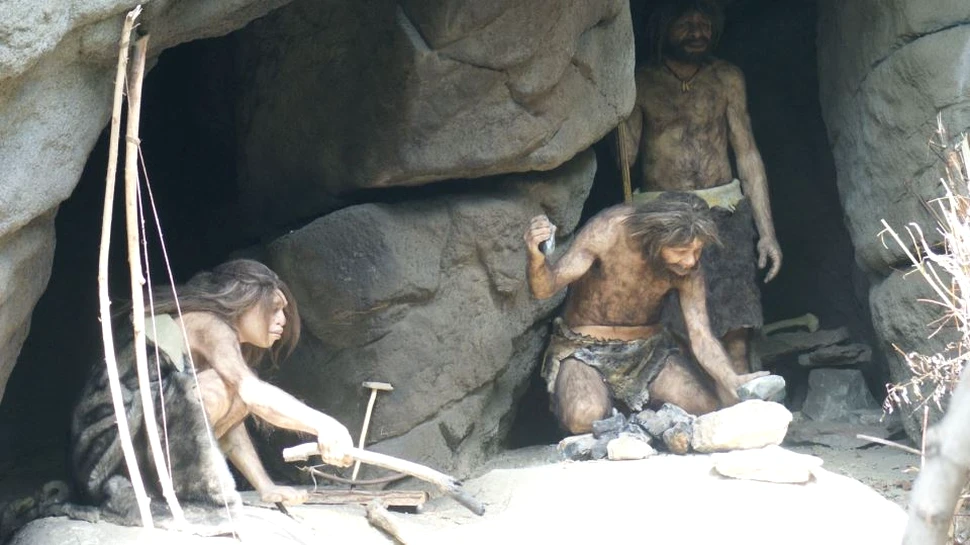 Un grup de cercetători a găsit un set de unelte din lemn vechi de 90.000 de ani. Descoperirea, aparent banală, s-a dovedit a fi mult mai spectaculoasă