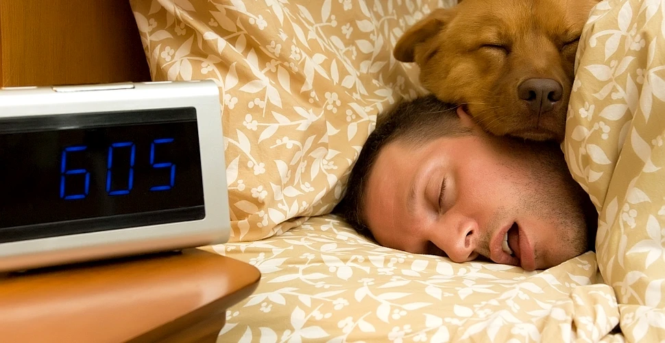 4 arome care îţi vor îmbunătăţi calitatea somnului şi îţi vor da mai multă energie peste zi